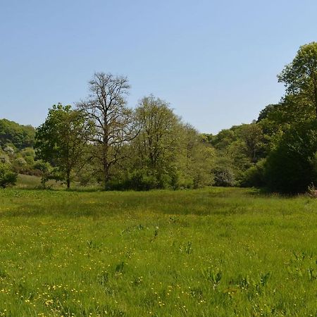 Aldridge Mill Hotel Oakford Kültér fotó